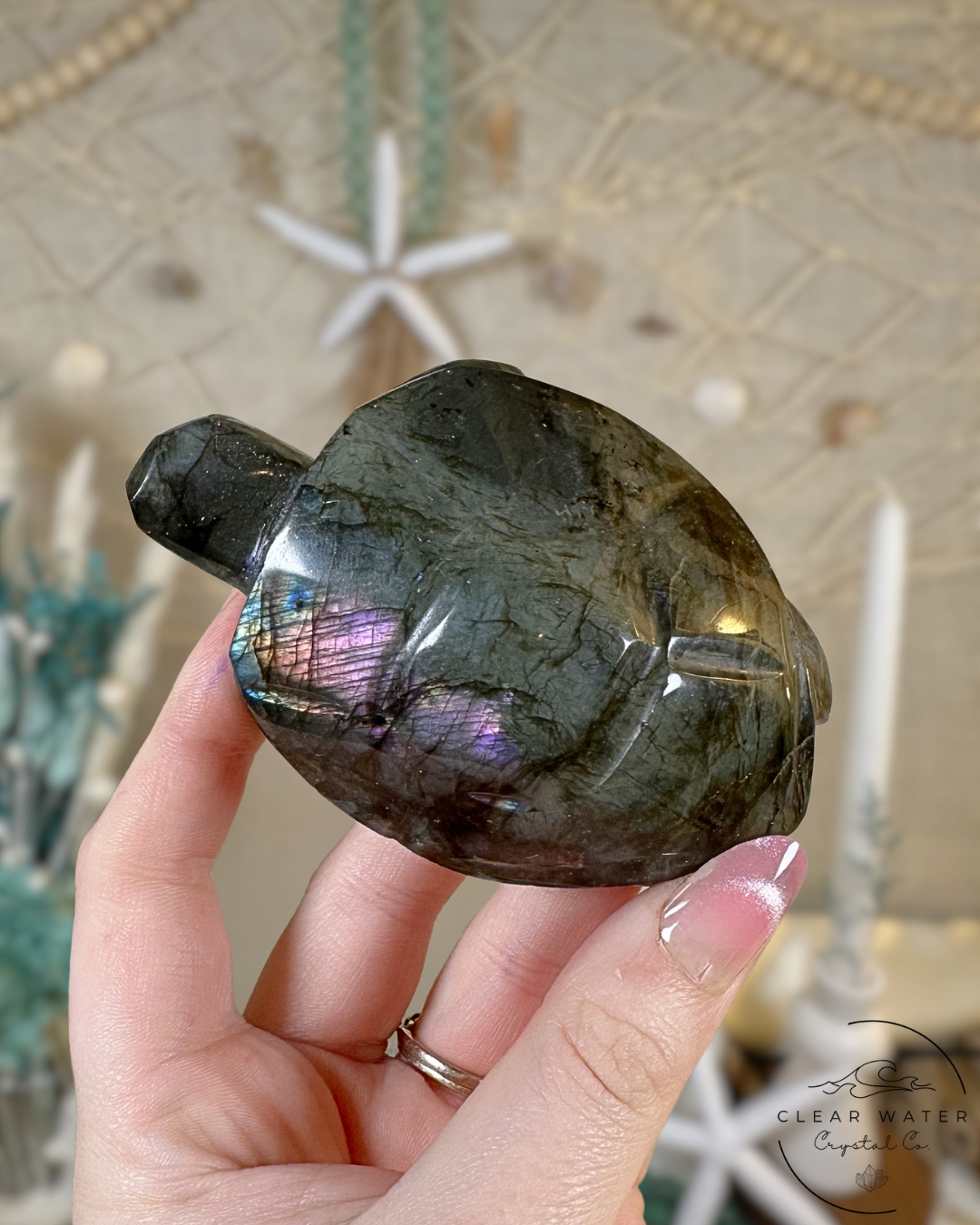 Labradorite Turtle Carving- Madagascar