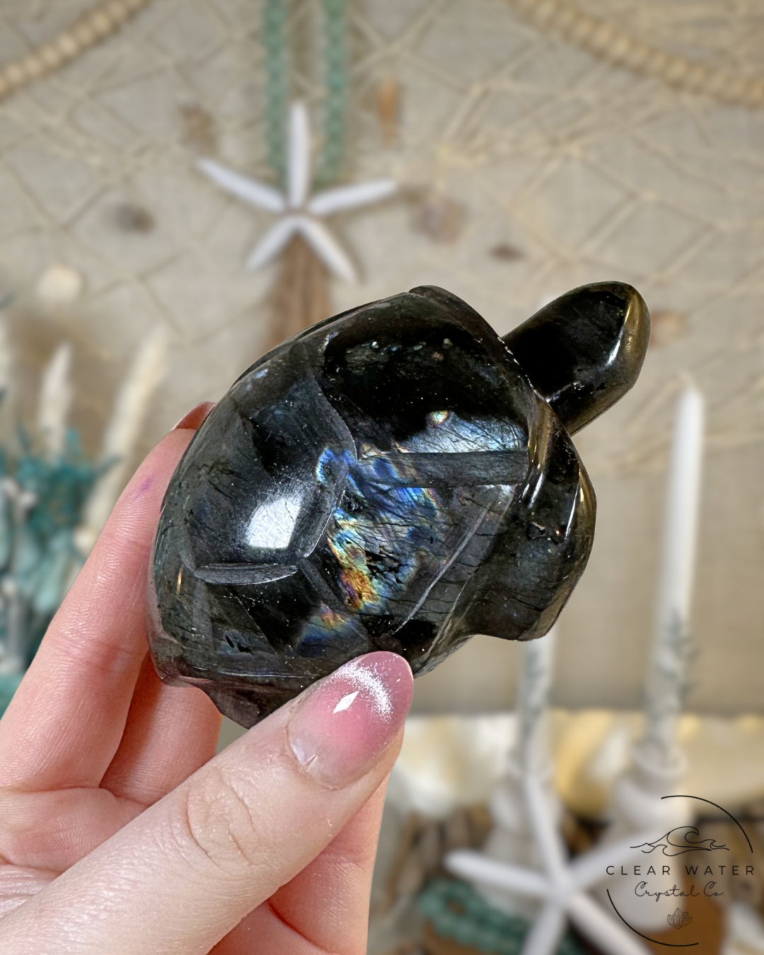 Labradorite Turtle Carving- Madagascar