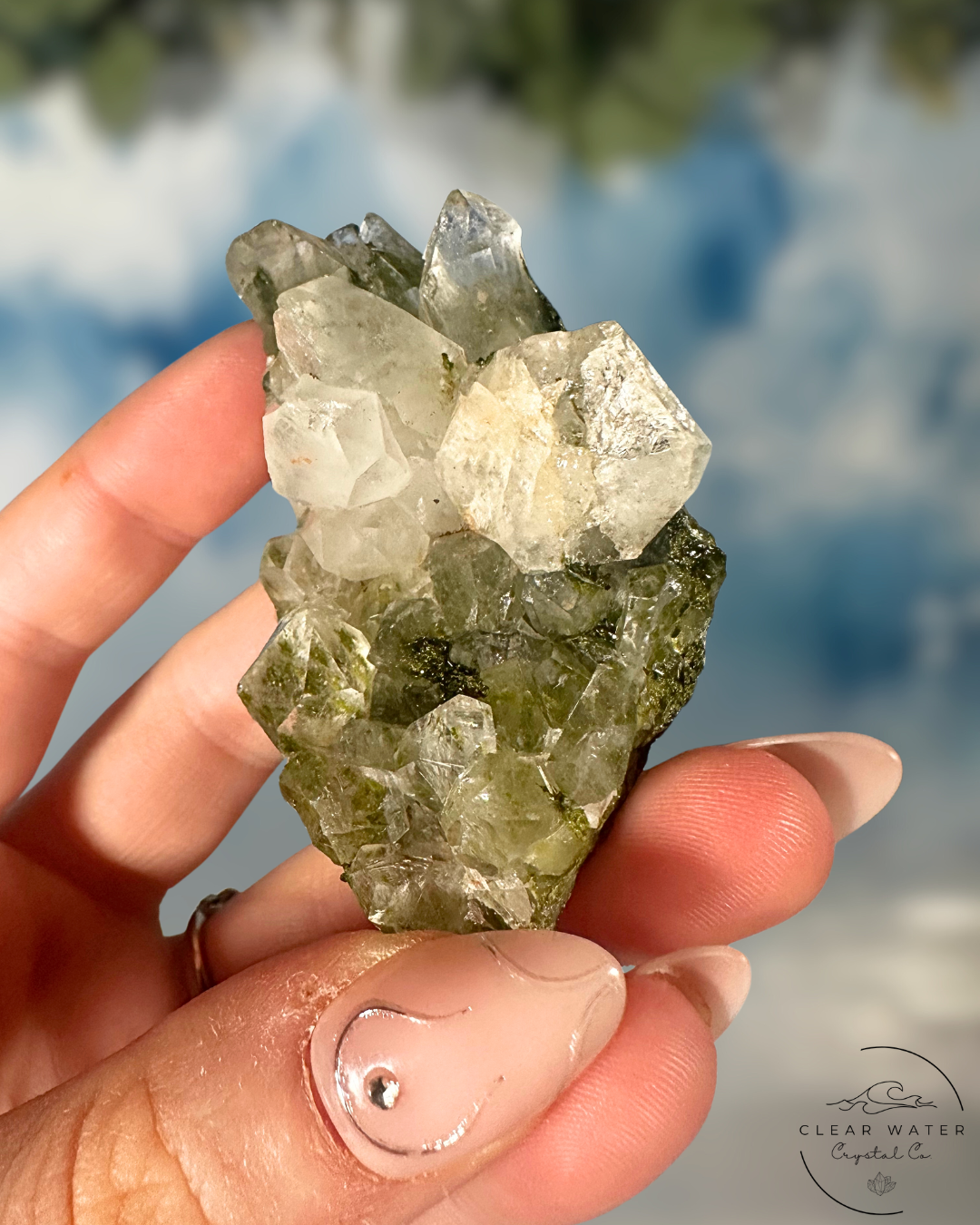 Forrest Quartz: Hakkari's Secret Garden
