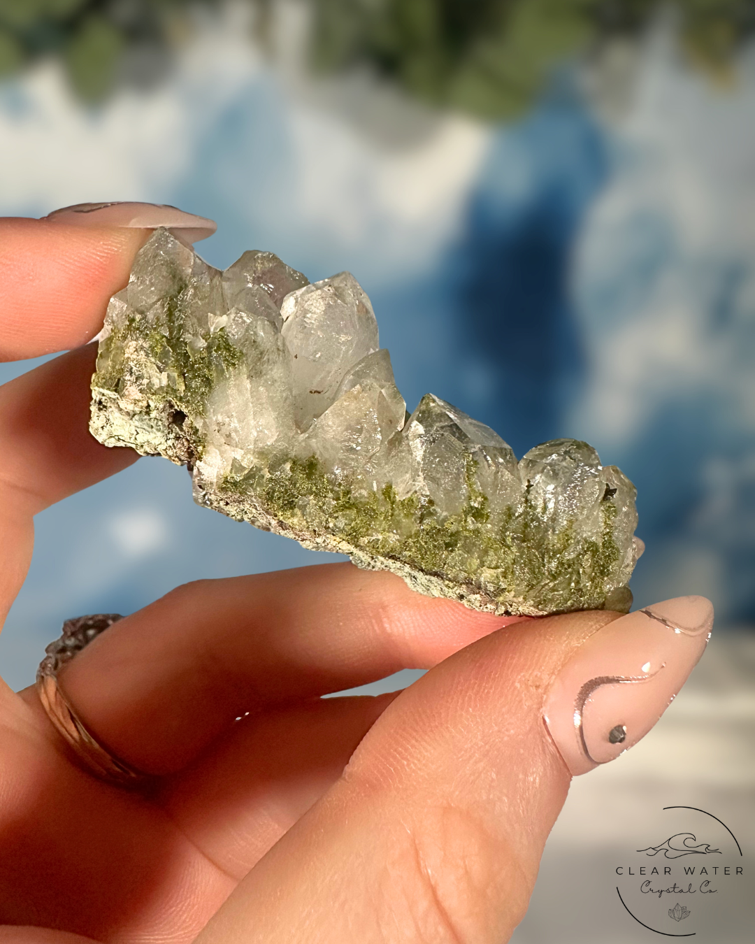 Forrest Quartz: Hakkari's Secret Garden