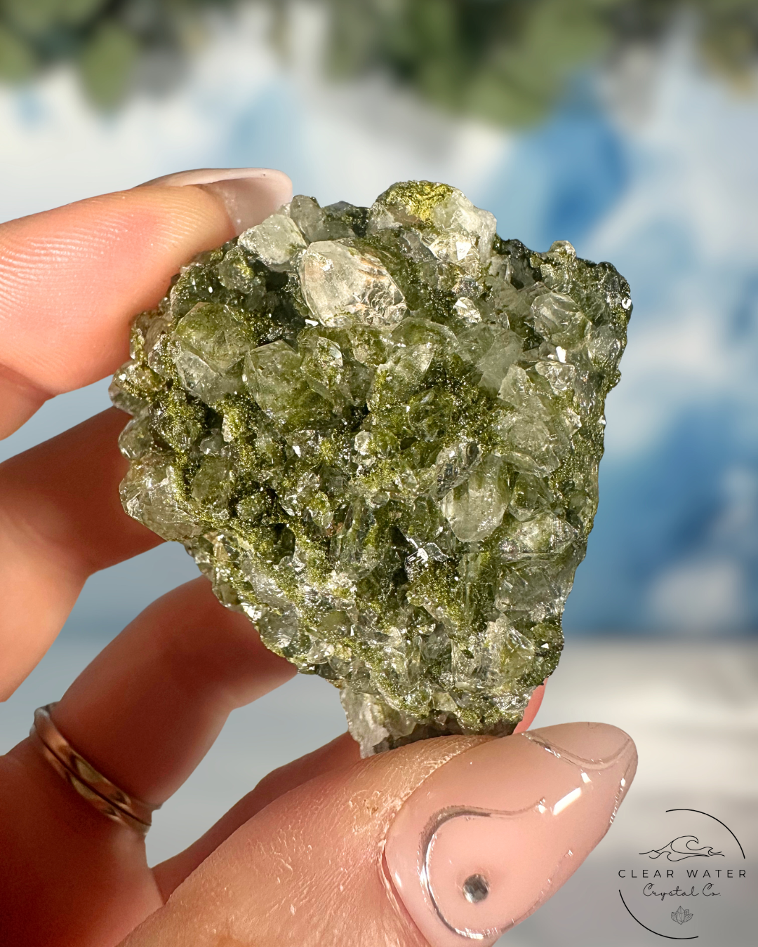 Forrest Quartz: Hakkari's Secret Garden