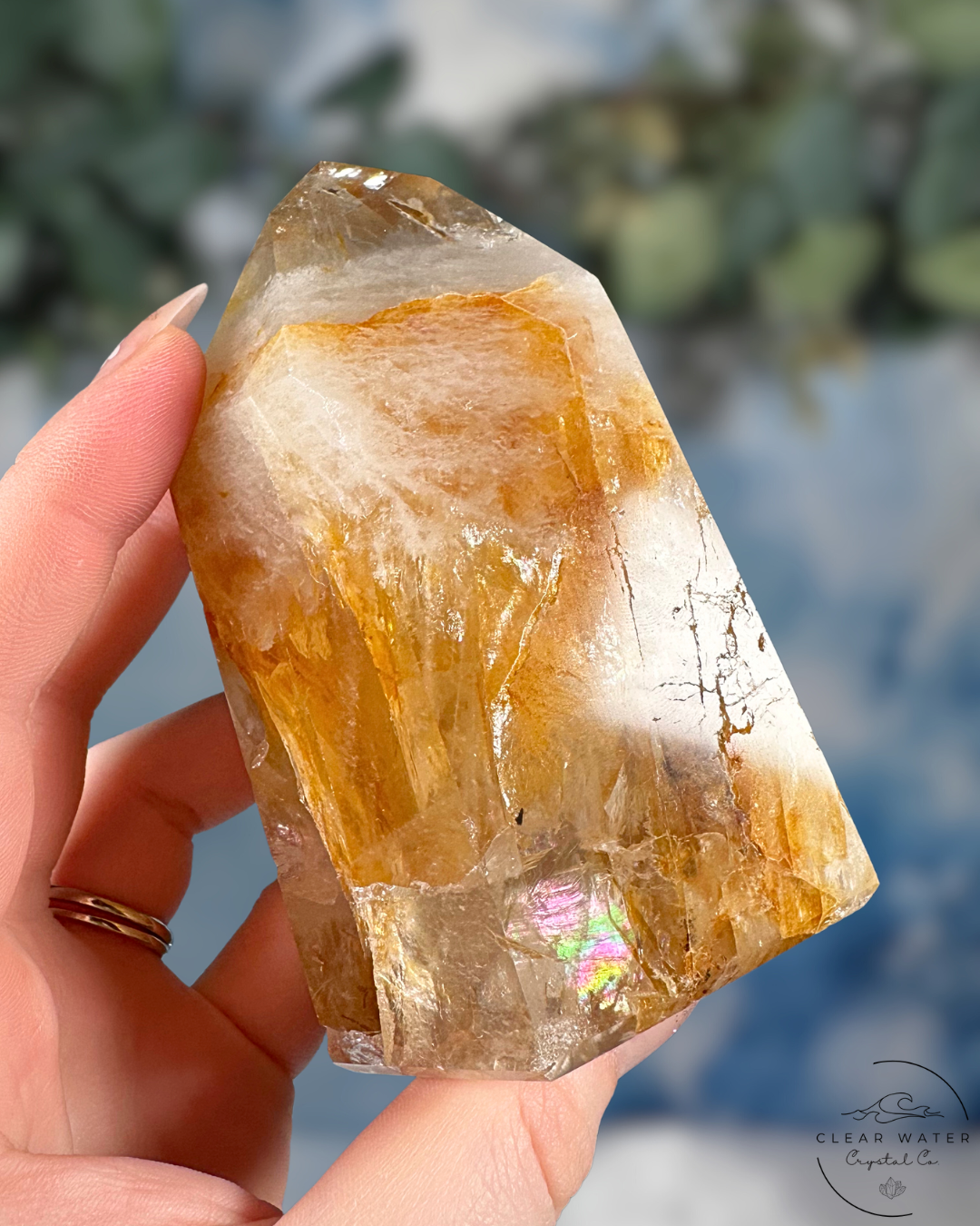 Brazilian Golden Healer Towers: Sunlit Wisdom