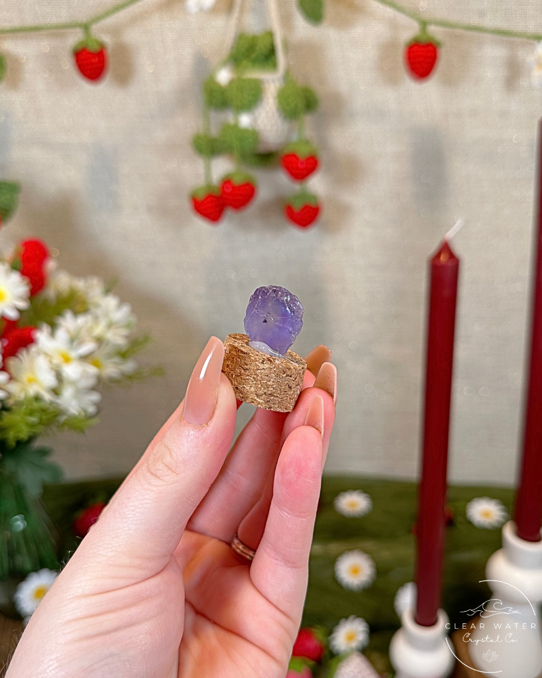 Violet Fluorite Specimen Capsules | Mexico