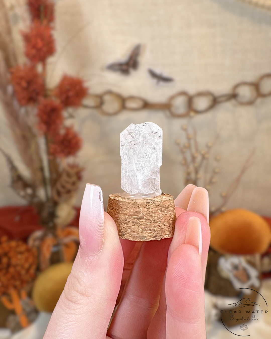 Danburite Specimen Capsule- Mexico