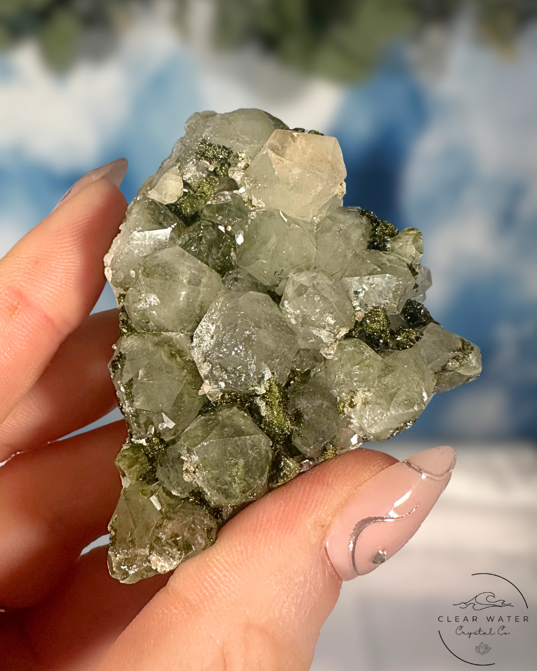Forrest Quartz: Hakkari's Secret Garden