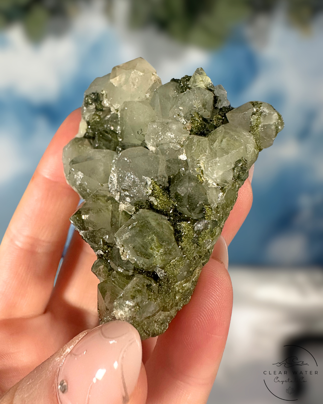 Forrest Quartz: Hakkari's Secret Garden