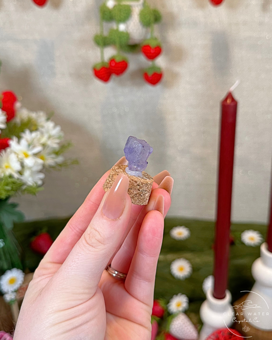 Violet Fluorite Specimen Capsules | Mexico