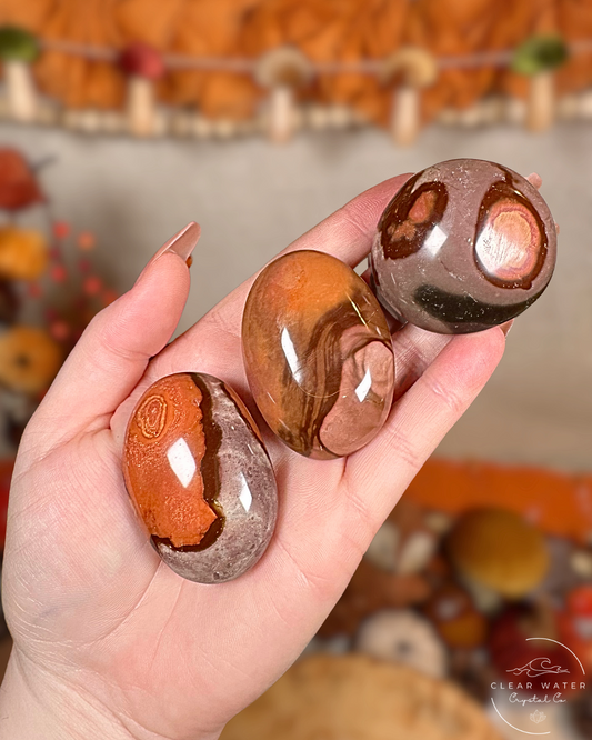 Polychrome Jasper Palmstone - Harvest Stone