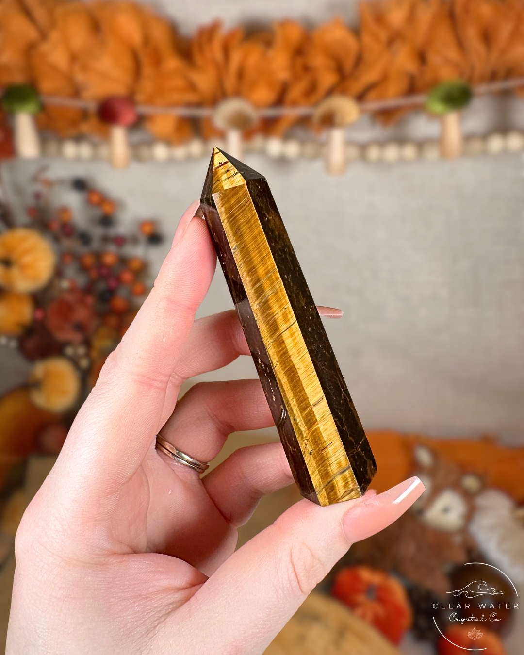 Tiger’s Eye Towers – Madagascar