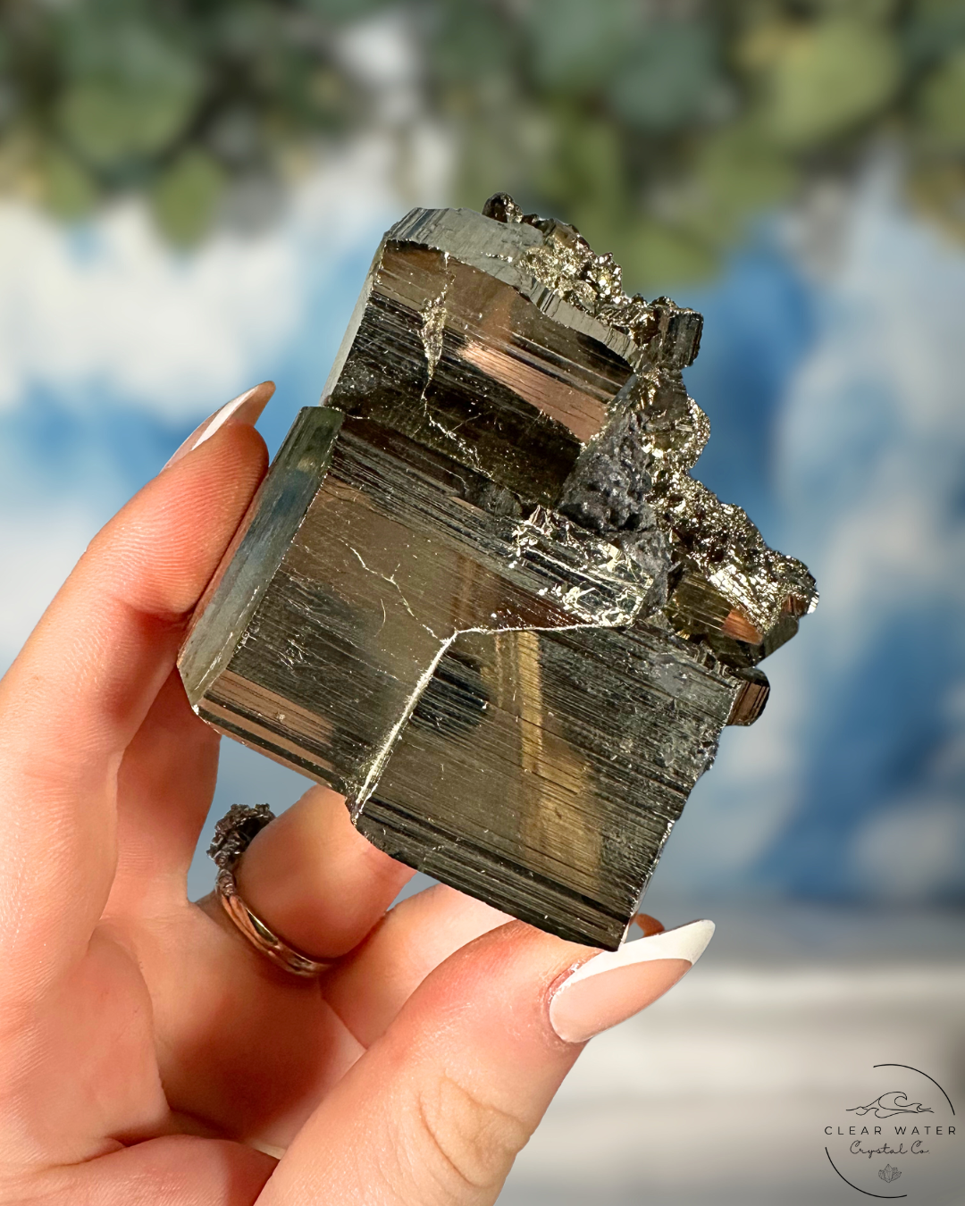Collectors Grade: Cubic Pyrite Specimen from Spain