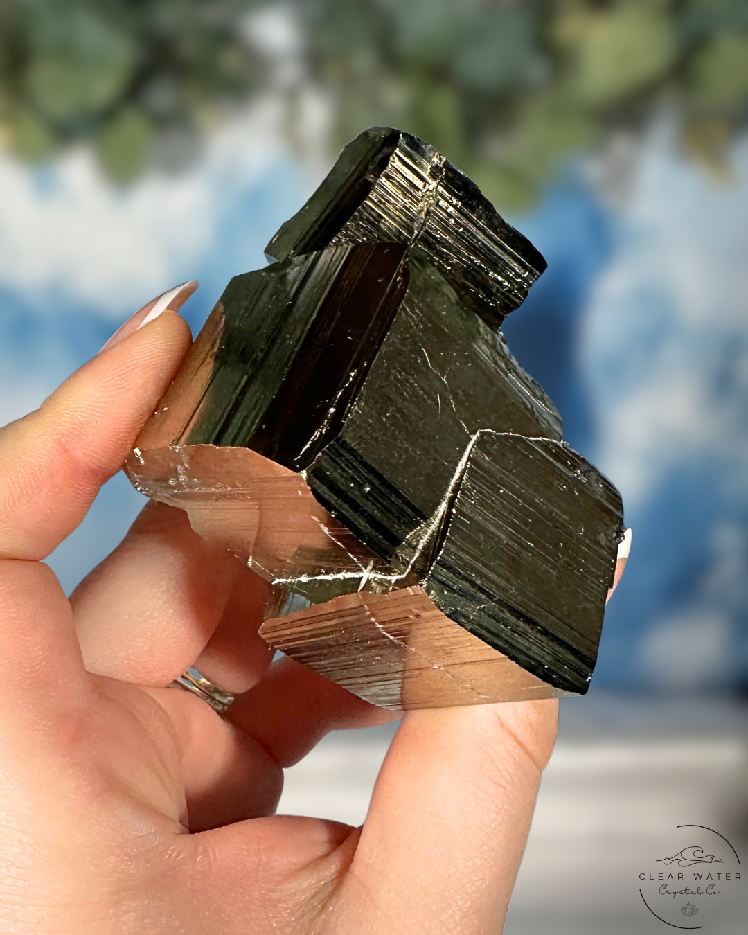 Collectors Grade: Cubic Pyrite Specimen from Spain