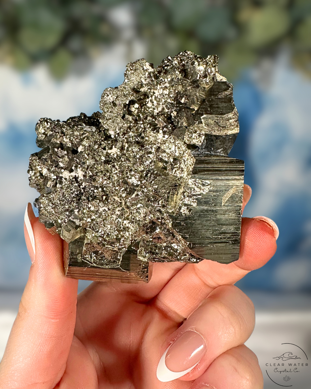 Collectors Grade: Cubic Pyrite Specimen from Spain
