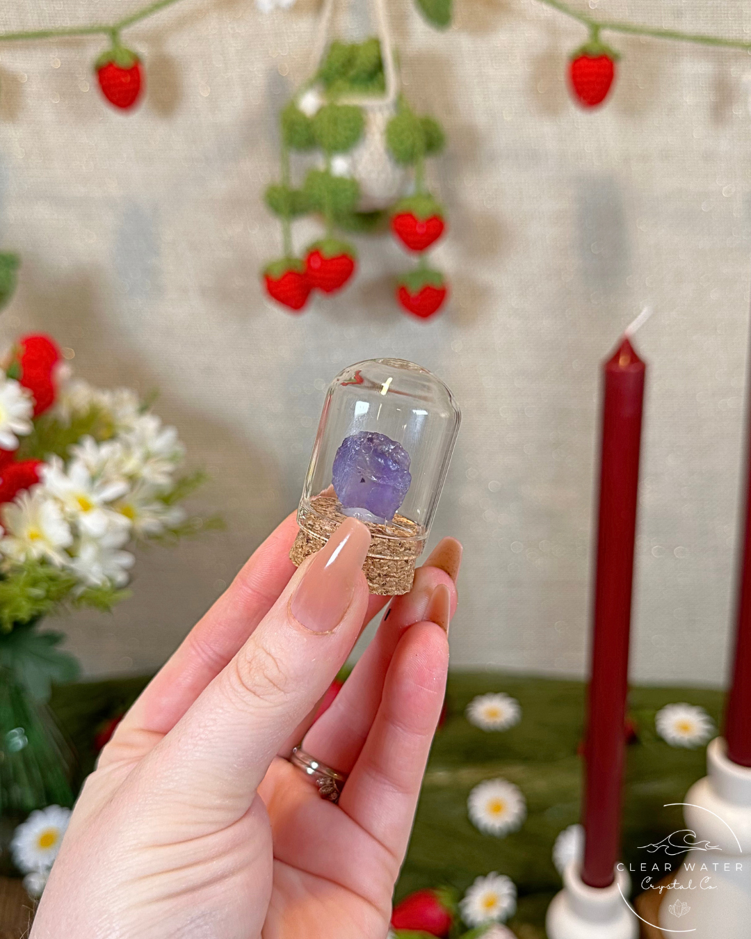 Violet Fluorite Specimen Capsules | Mexico