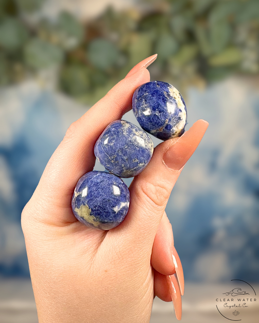 Sodalite Tumble Stones