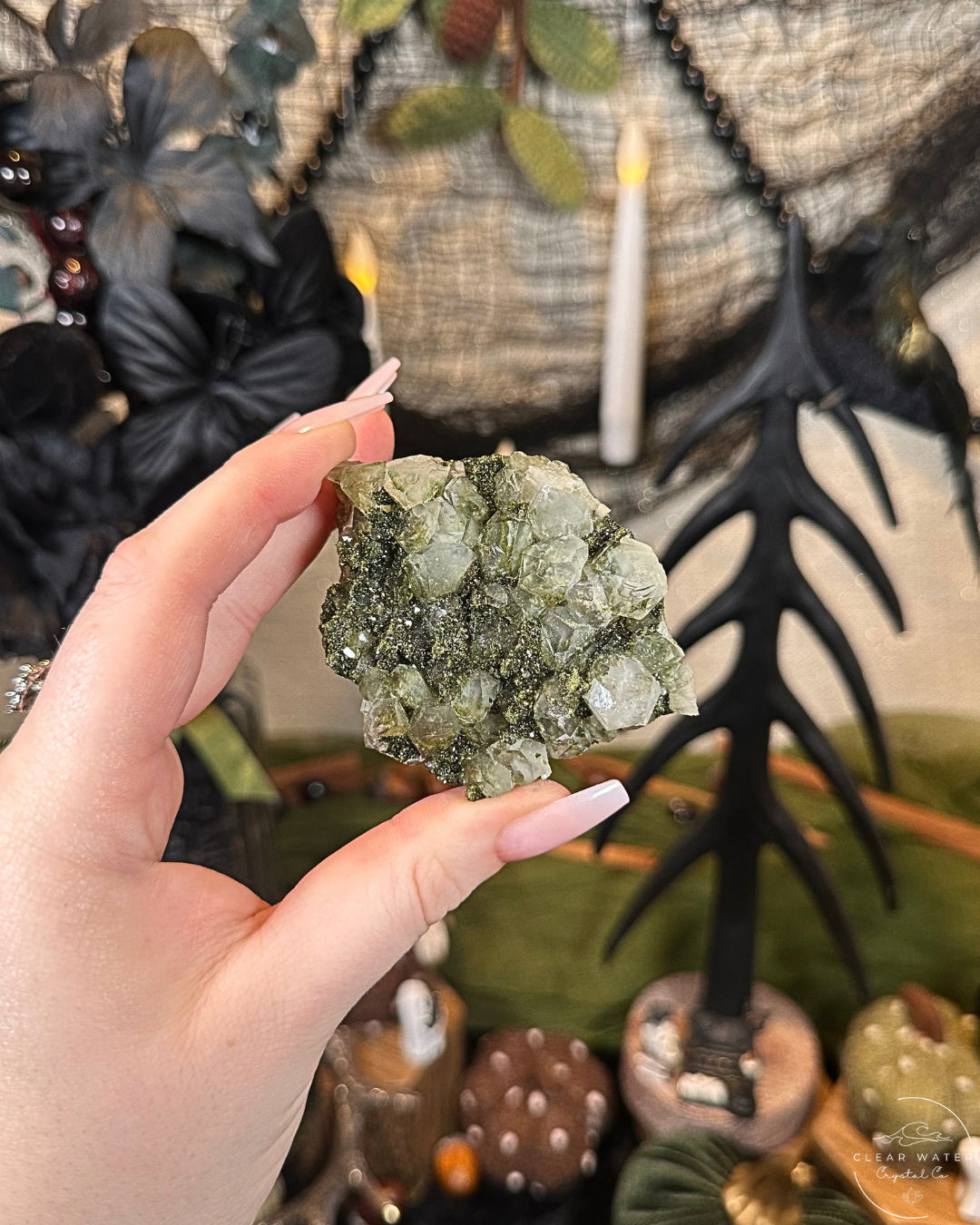 Forest Quartz (Epidote & Quartz Specimen) | Turkey