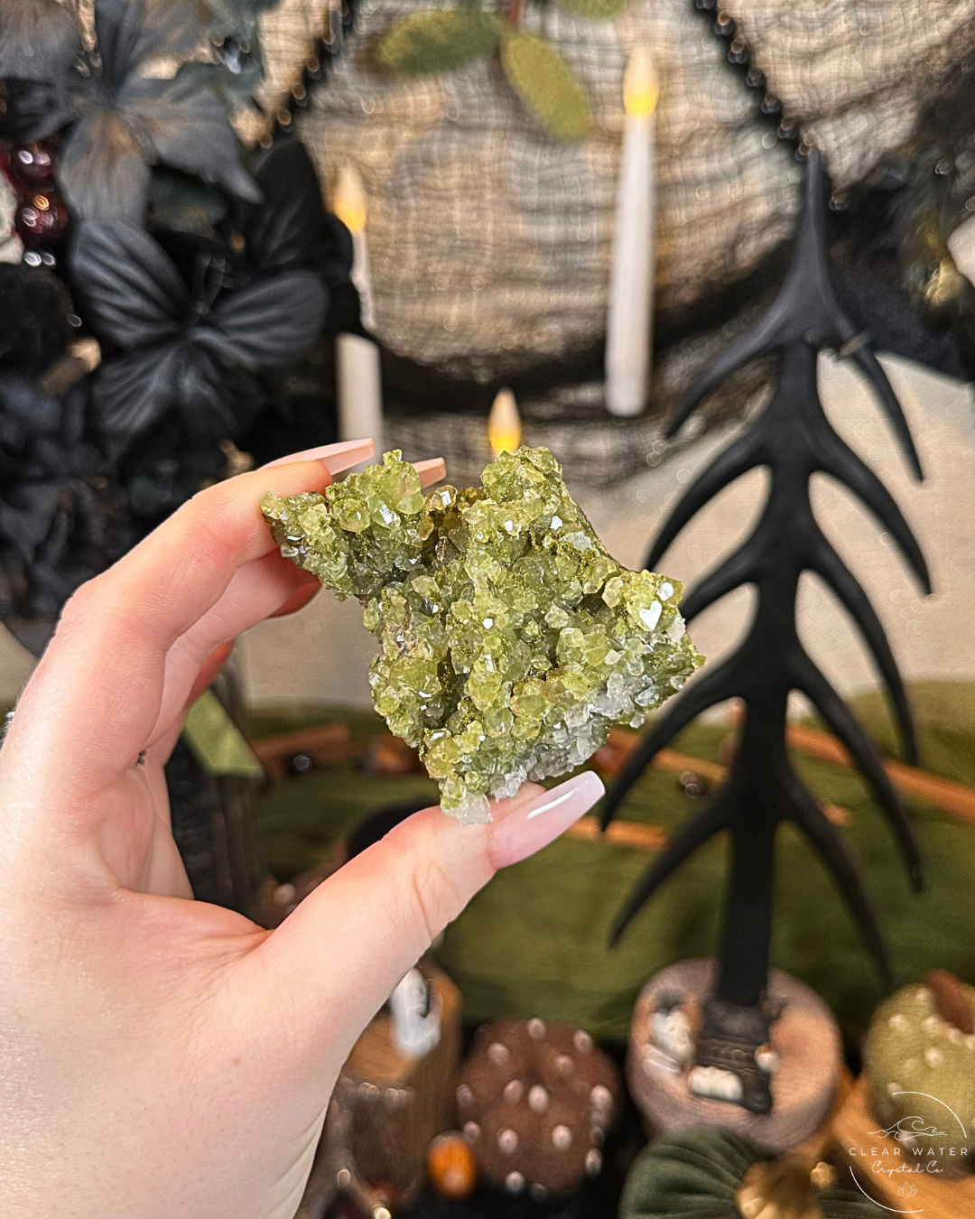 Forest Quartz (Epidote & Quartz Specimen) | Turkey