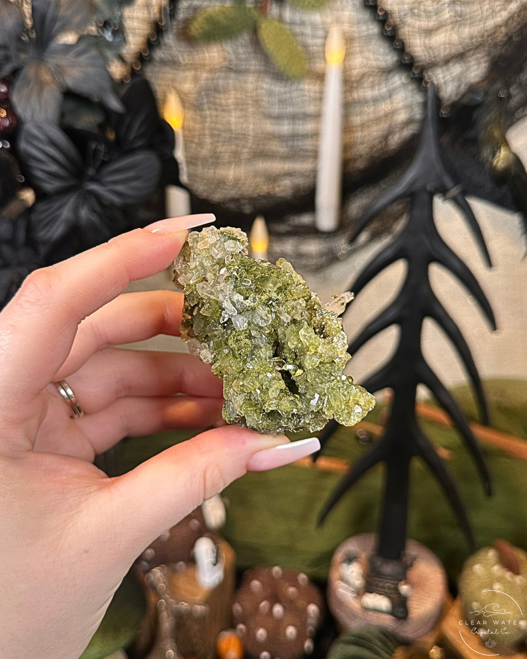 Forest Quartz (Epidote & Quartz Specimen) | Turkey
