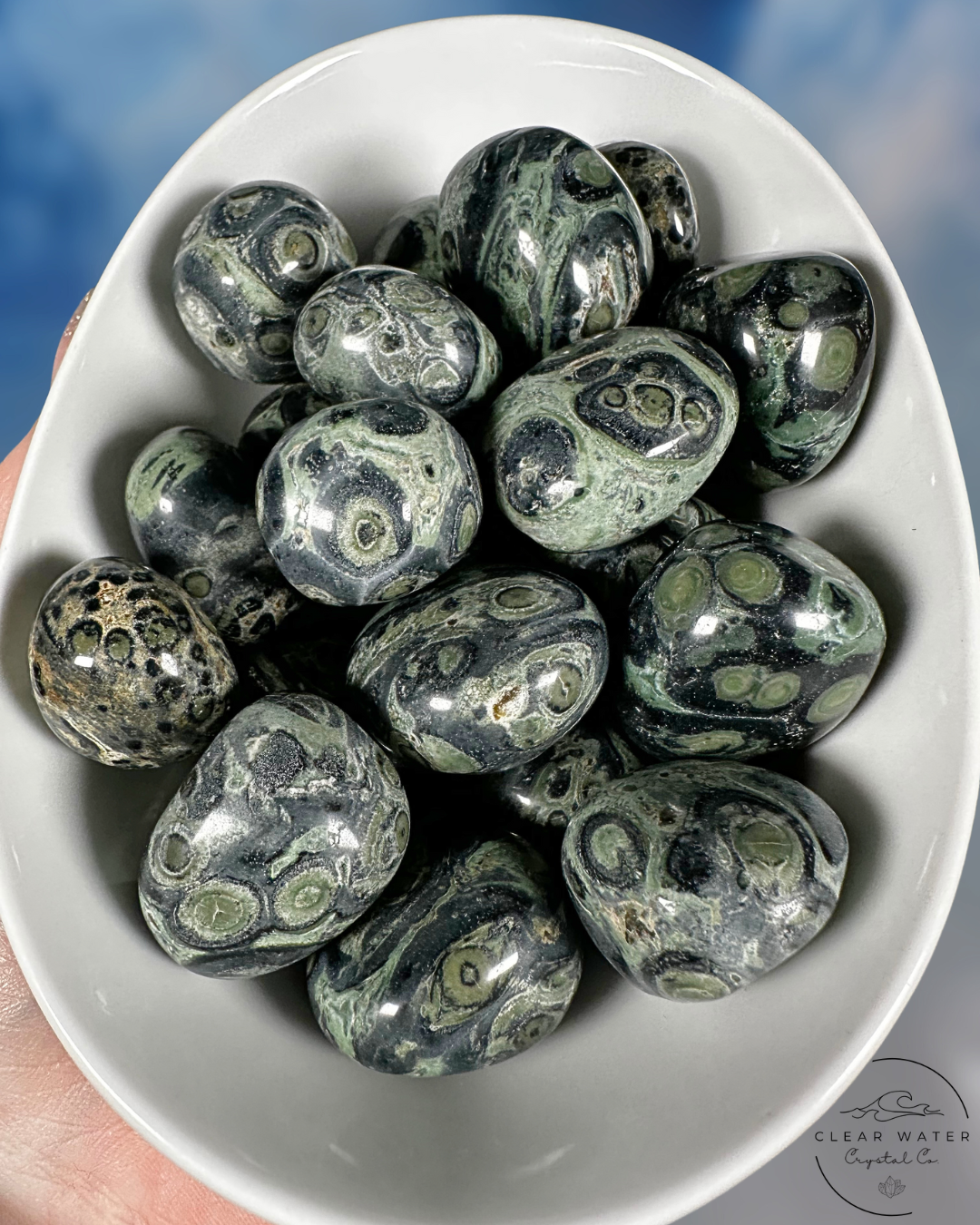 Kambaba Jasper Tumble - Grounding Wisdom & Primeval Peace