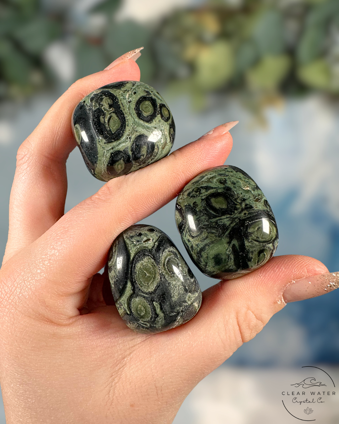 Kambaba Jasper Tumble - Grounding Wisdom & Primeval Peace