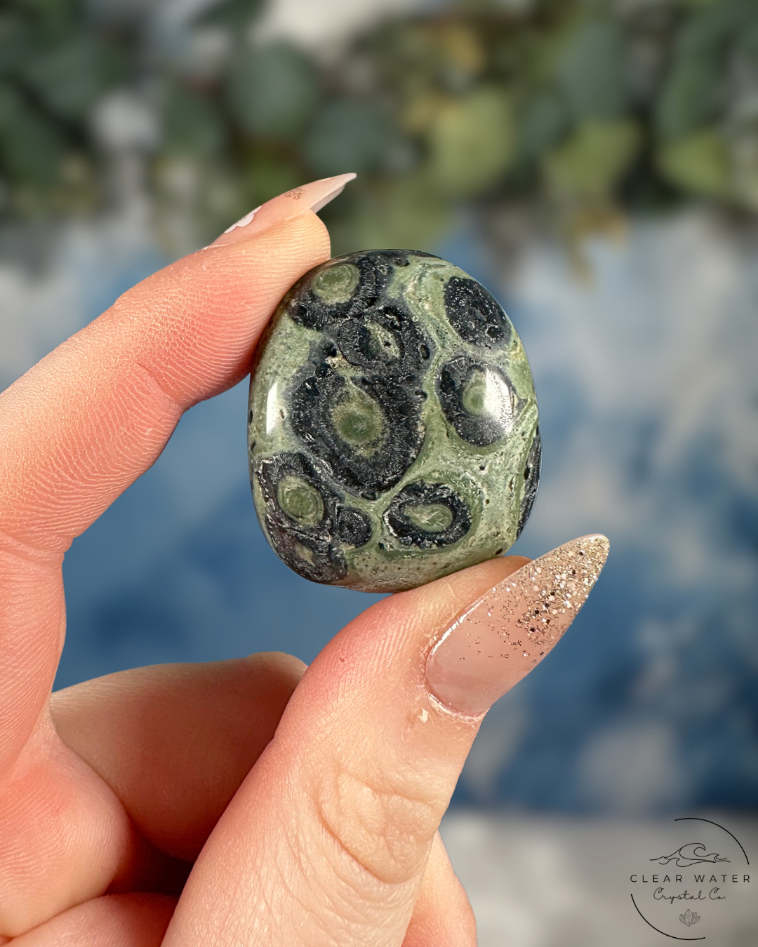 Kambaba Jasper Tumble - Grounding Wisdom & Primeval Peace