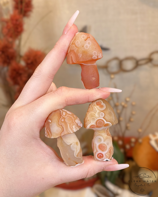 Gobi Agate Mushroom- Mongolia