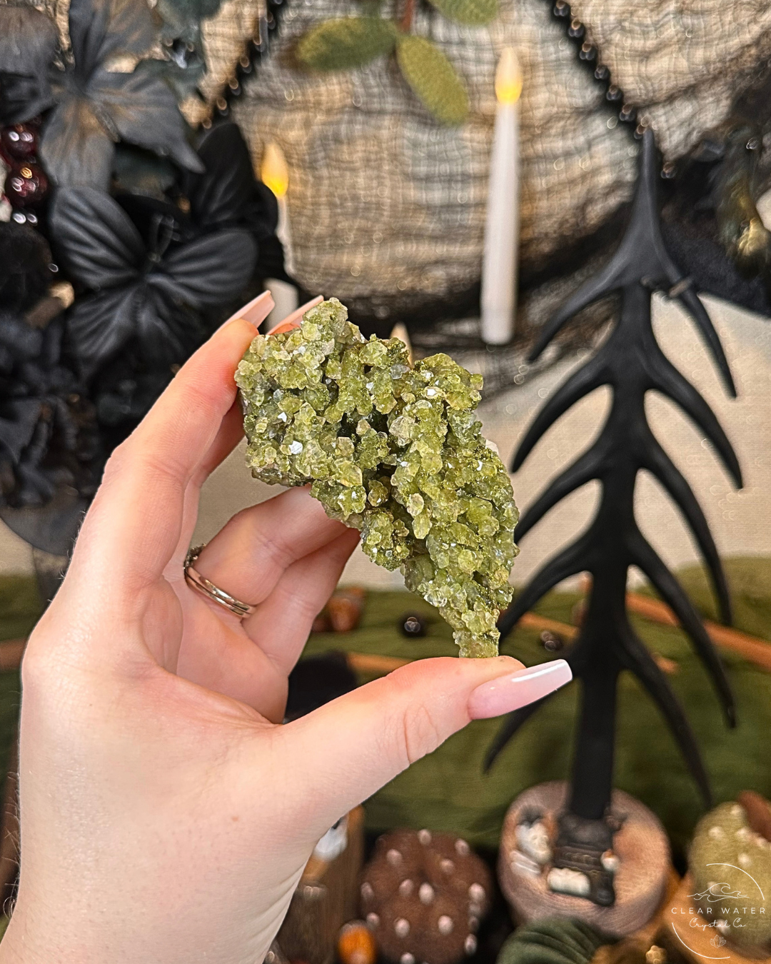 Forest Quartz (Epidote & Quartz Specimen) | Turkey