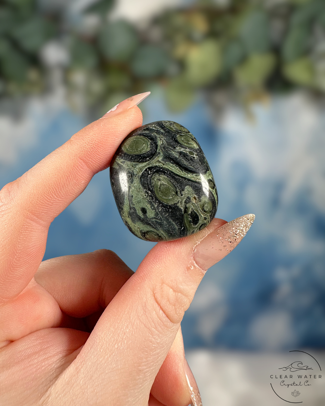 Kambaba Jasper Tumble - Grounding Wisdom & Primeval Peace