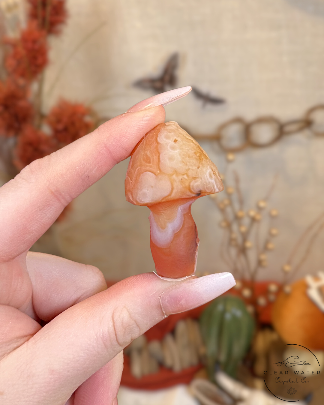 Gobi Agate Mushroom- Mongolia