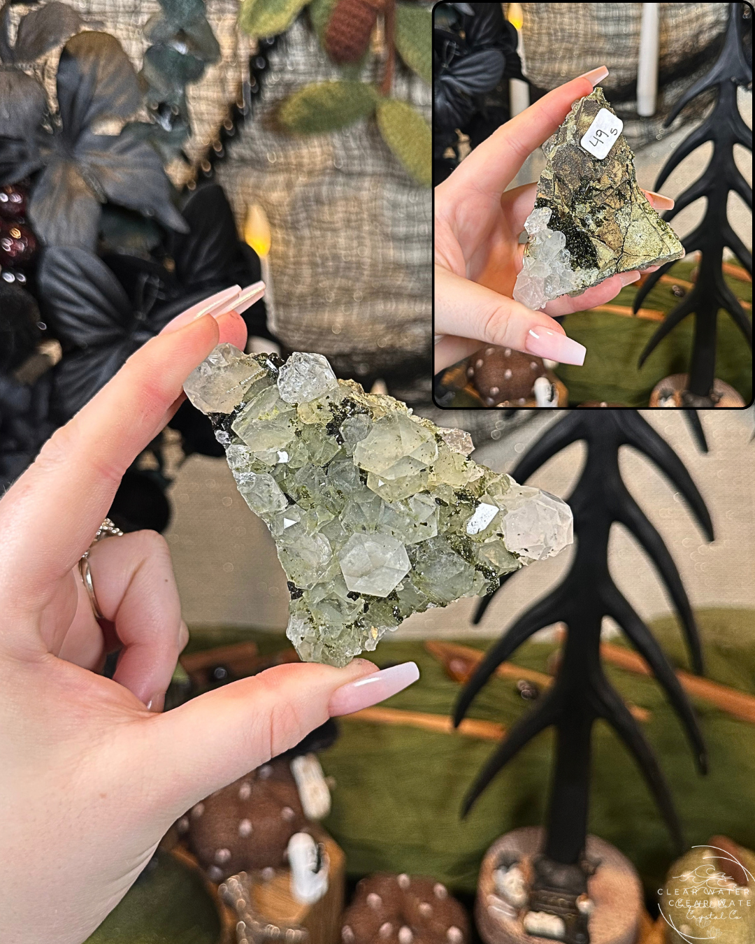 Forest Quartz (Epidote & Quartz Specimen) | Turkey