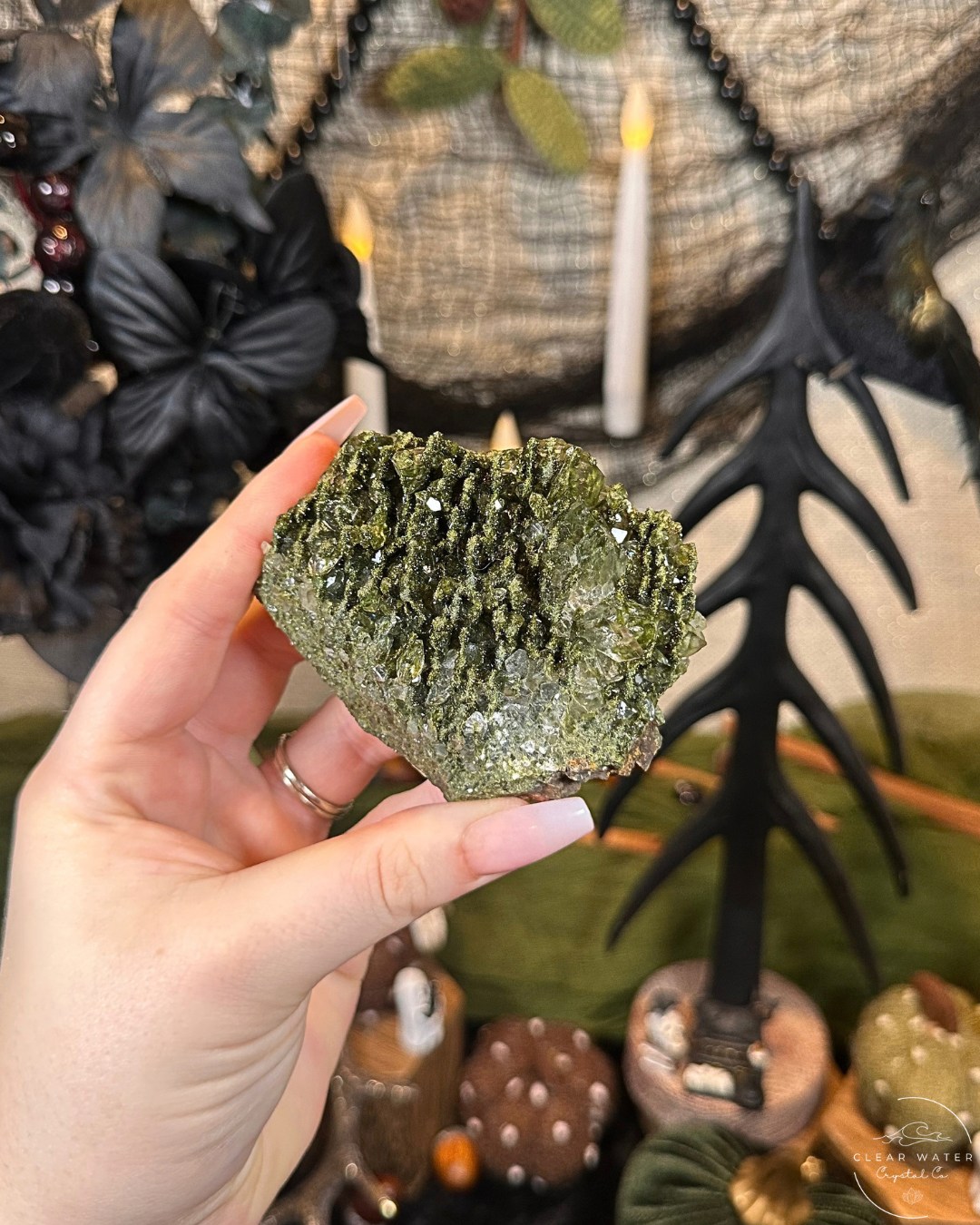 Forest Quartz (Epidote & Quartz Specimen) | Turkey