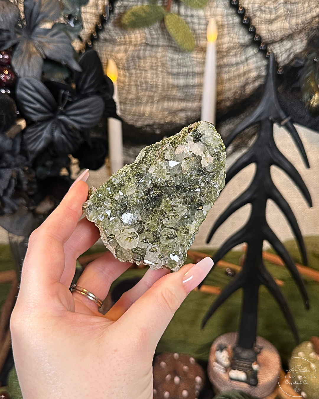 Forest Quartz (Epidote & Quartz Specimen) | Turkey