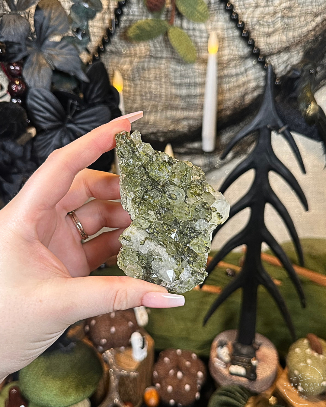 Forest Quartz (Epidote & Quartz Specimen) | Turkey
