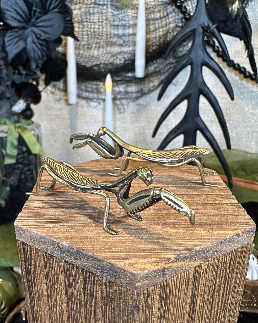 Praying Mantis Brass Buddy