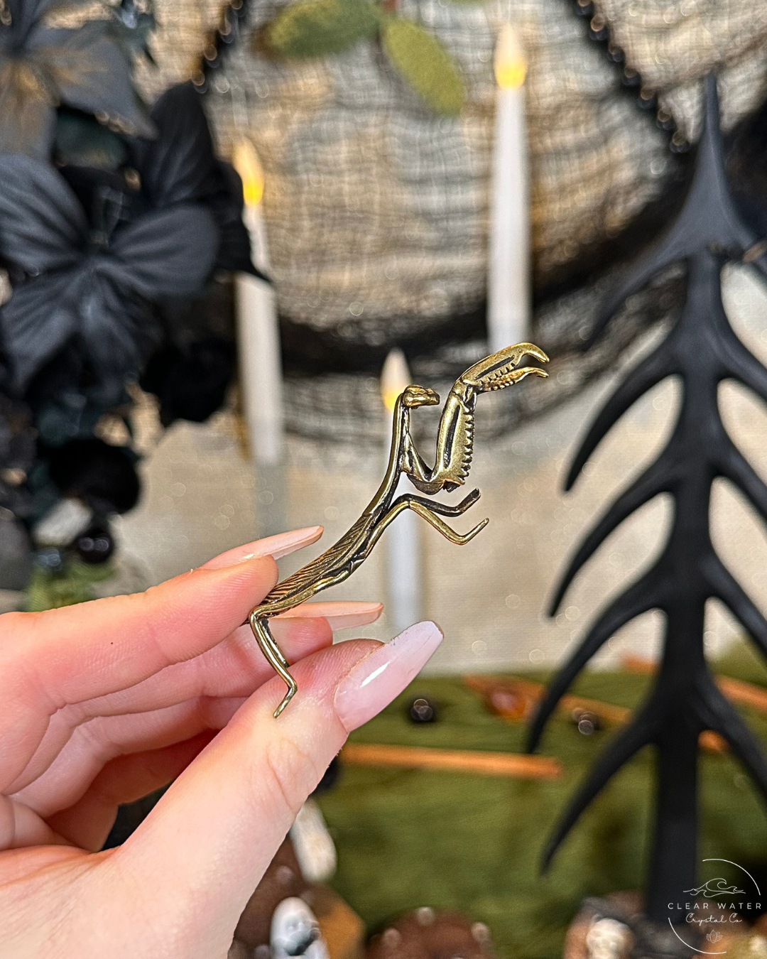 Praying Mantis Brass Buddy