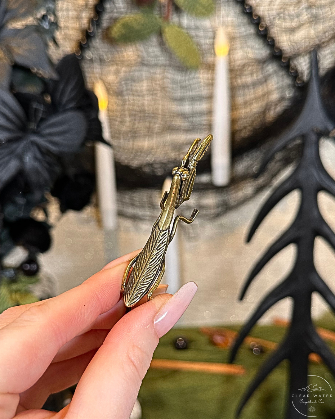 Praying Mantis Brass Buddy