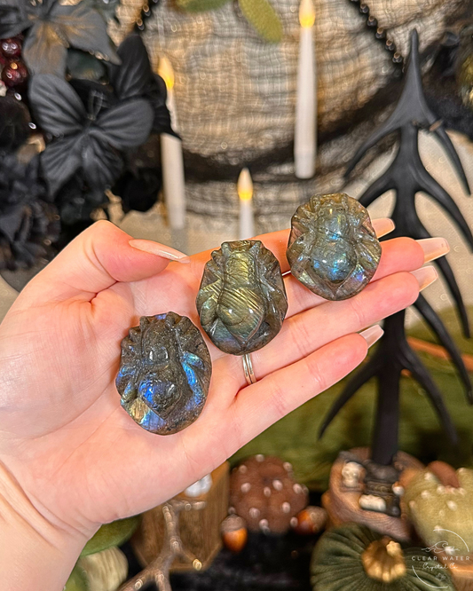 Labradorite Spider Carving