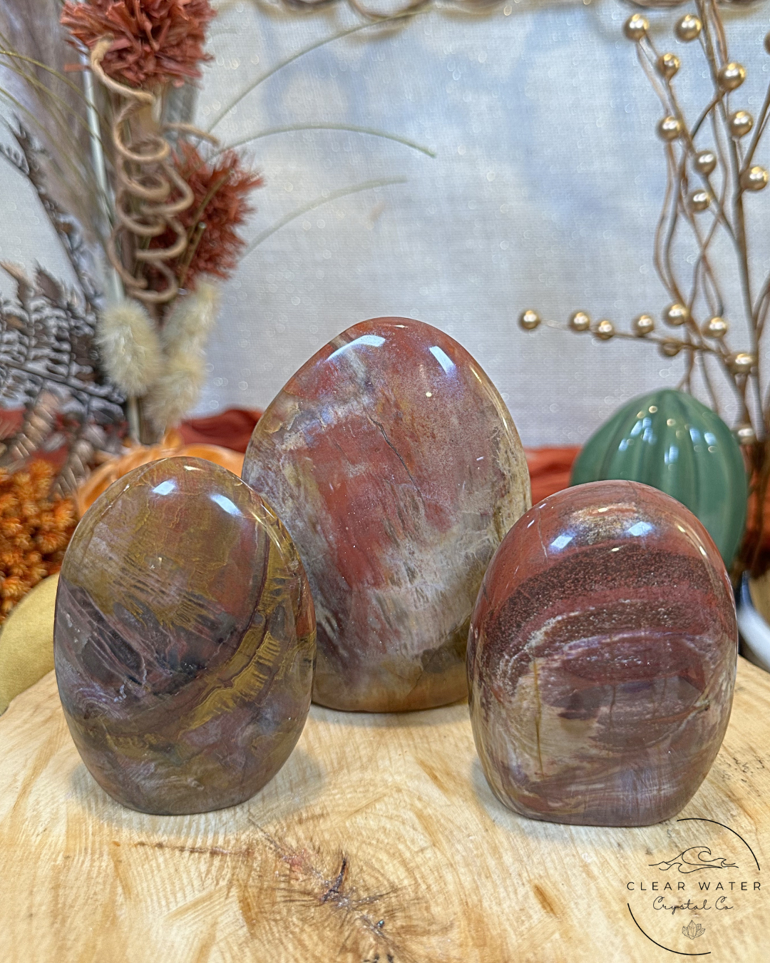 Red Petrified Wood Freeform- Madagascar