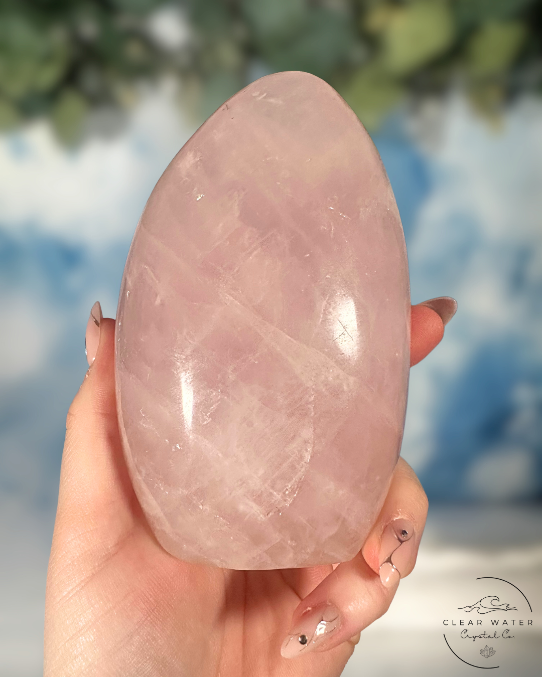 Large Madagascar Rose Quartz Freeforms