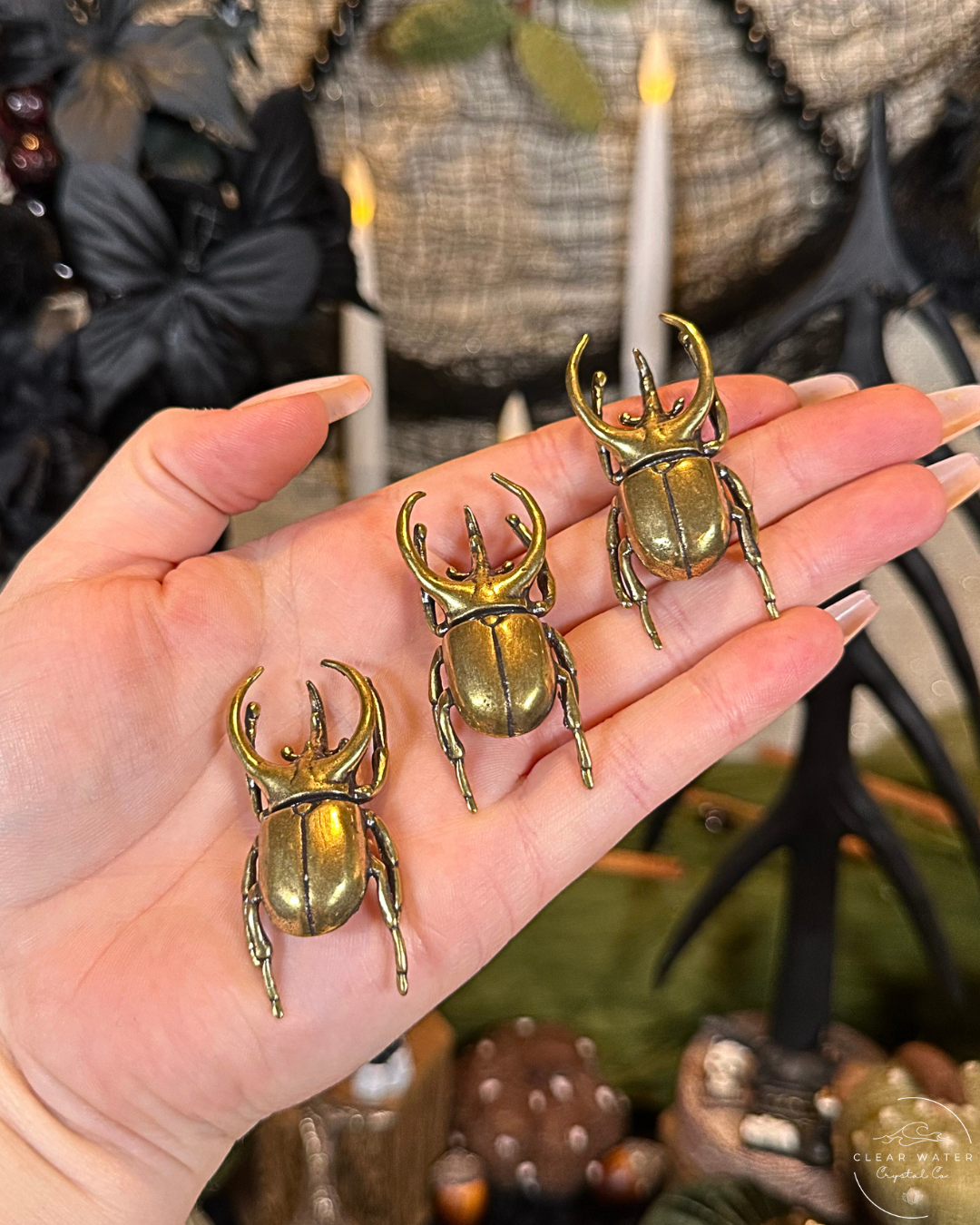 Rhinoceros Beetle Brass Buddy