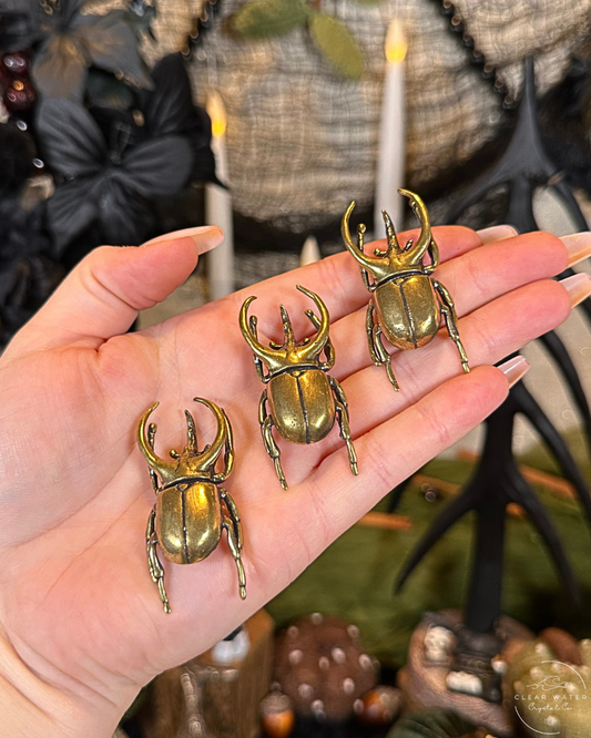 Rhinoceros Beetle Brass Buddy