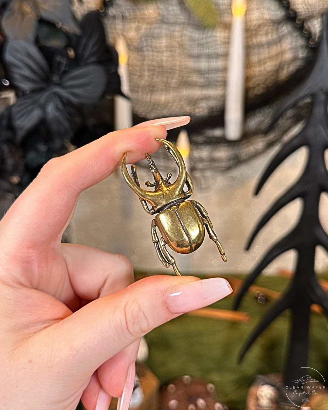 Rhinoceros Beetle Brass Buddy