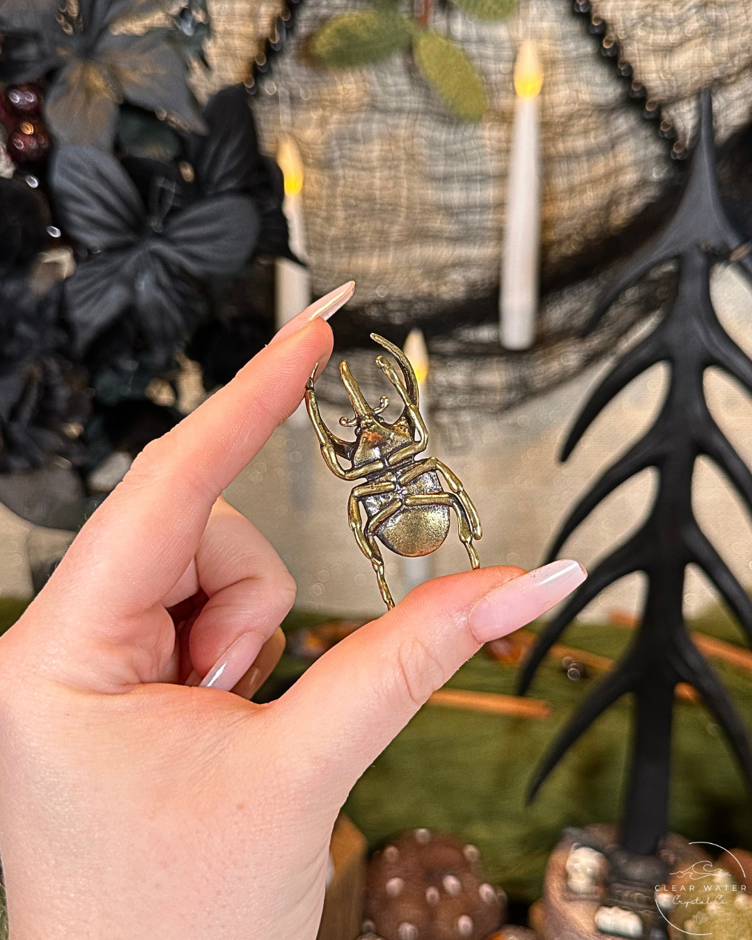 Rhinoceros Beetle Brass Buddy