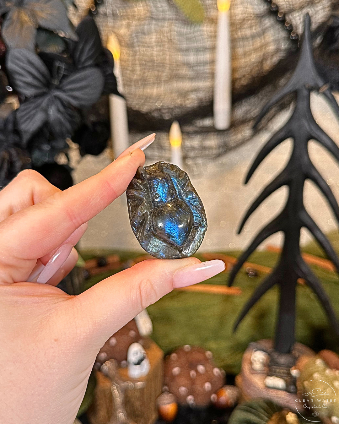 Labradorite Spider Carving
