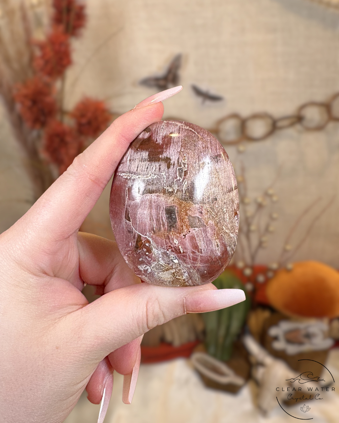 Red Petrified Wood Freeform- Madagascar