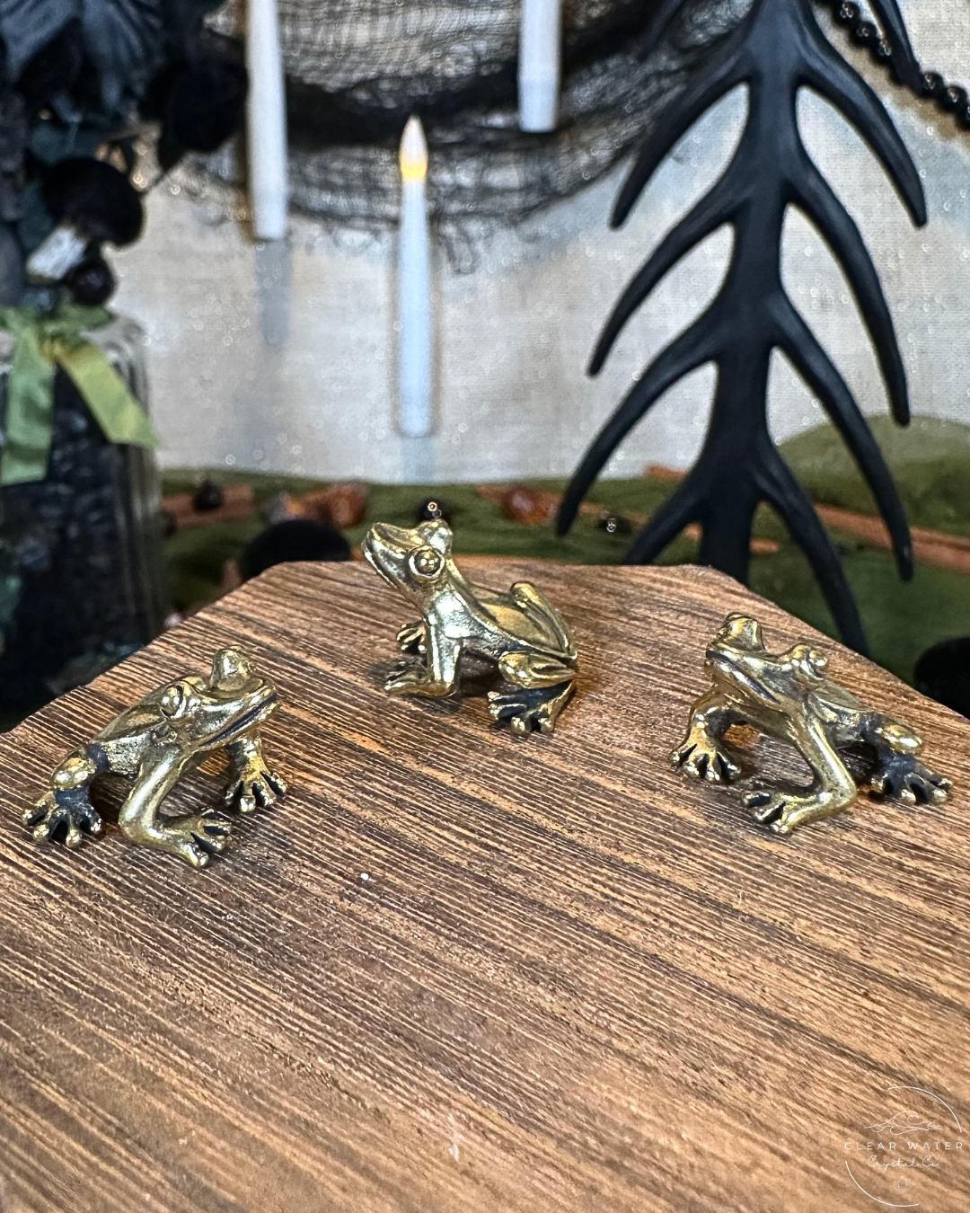 Frog Brass Buddy