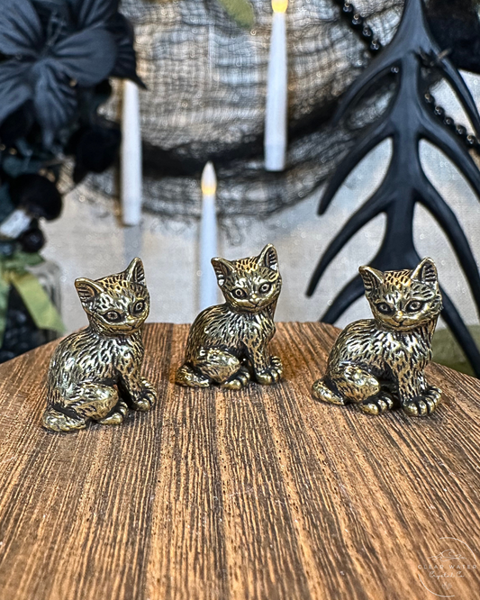 Kitten Brass Buddy