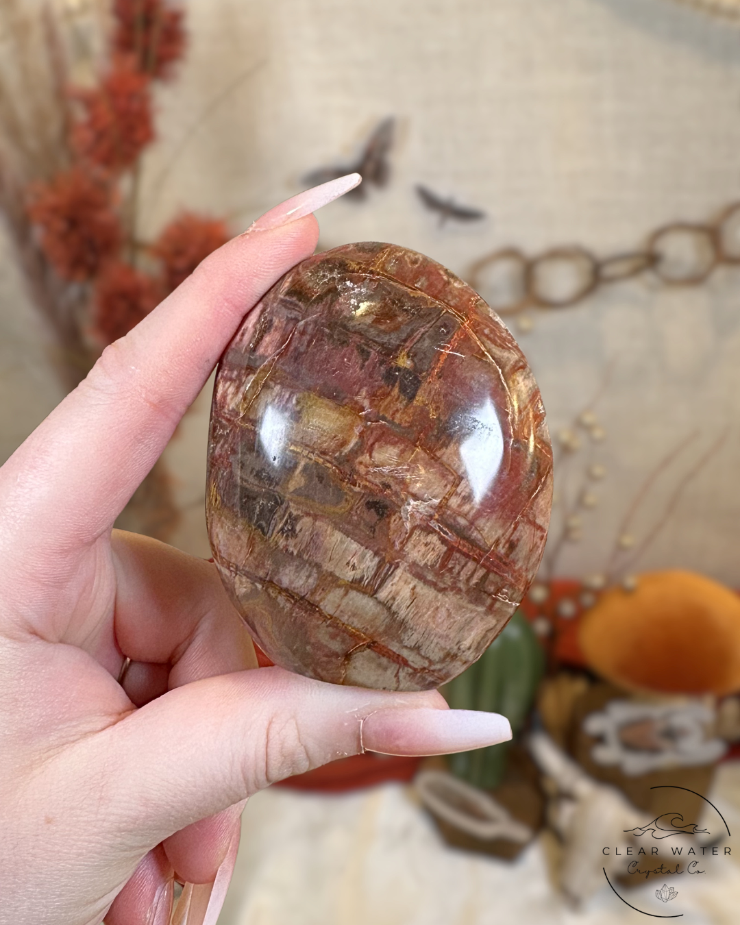 Red Petrified Wood Freeform- Madagascar