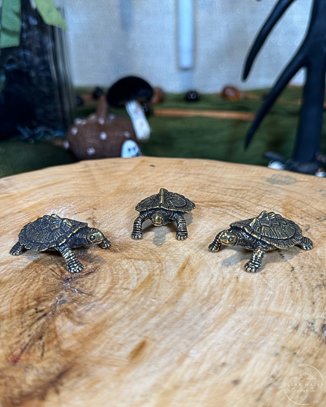 Tortoise Brass Buddy
