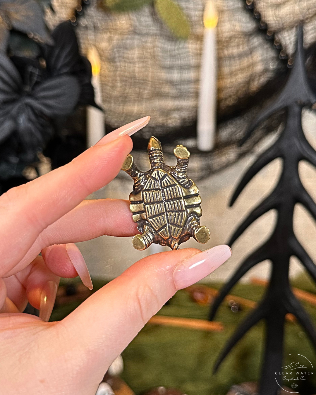 Tortoise Brass Buddy