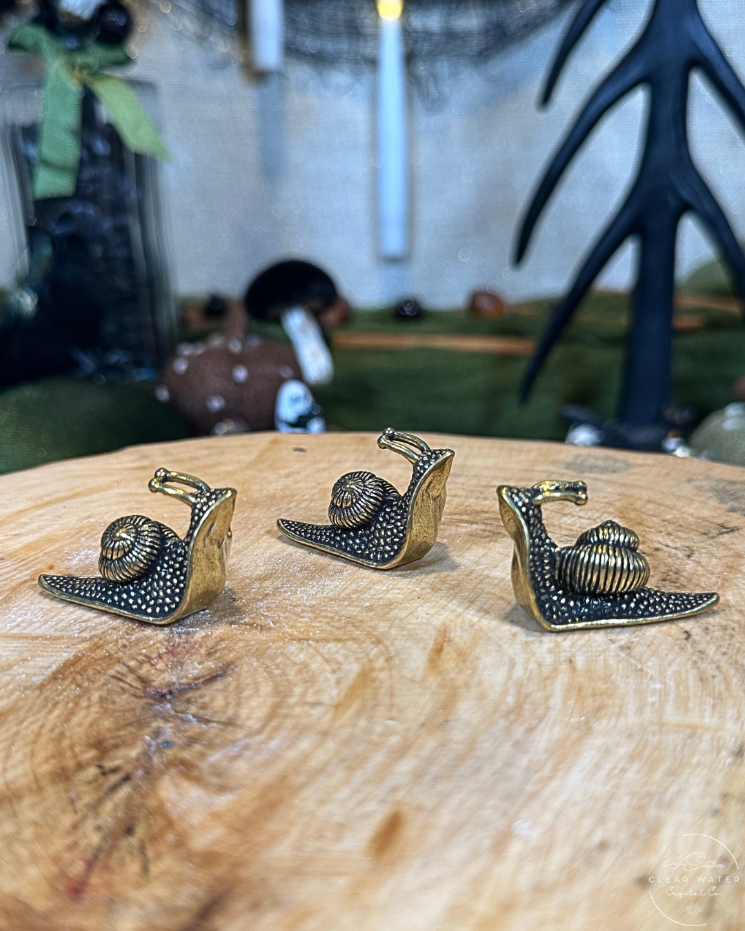 Snail Brass Buddy